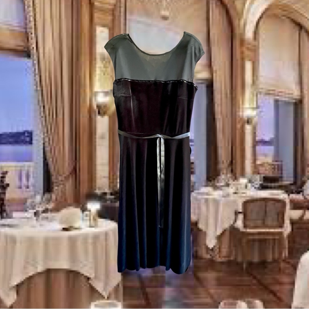 Lizzatti Black Velveteen & Mesh Dress Size 8.